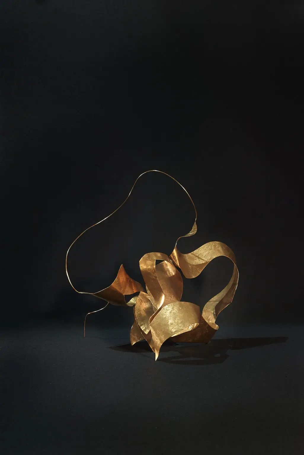 L1009579