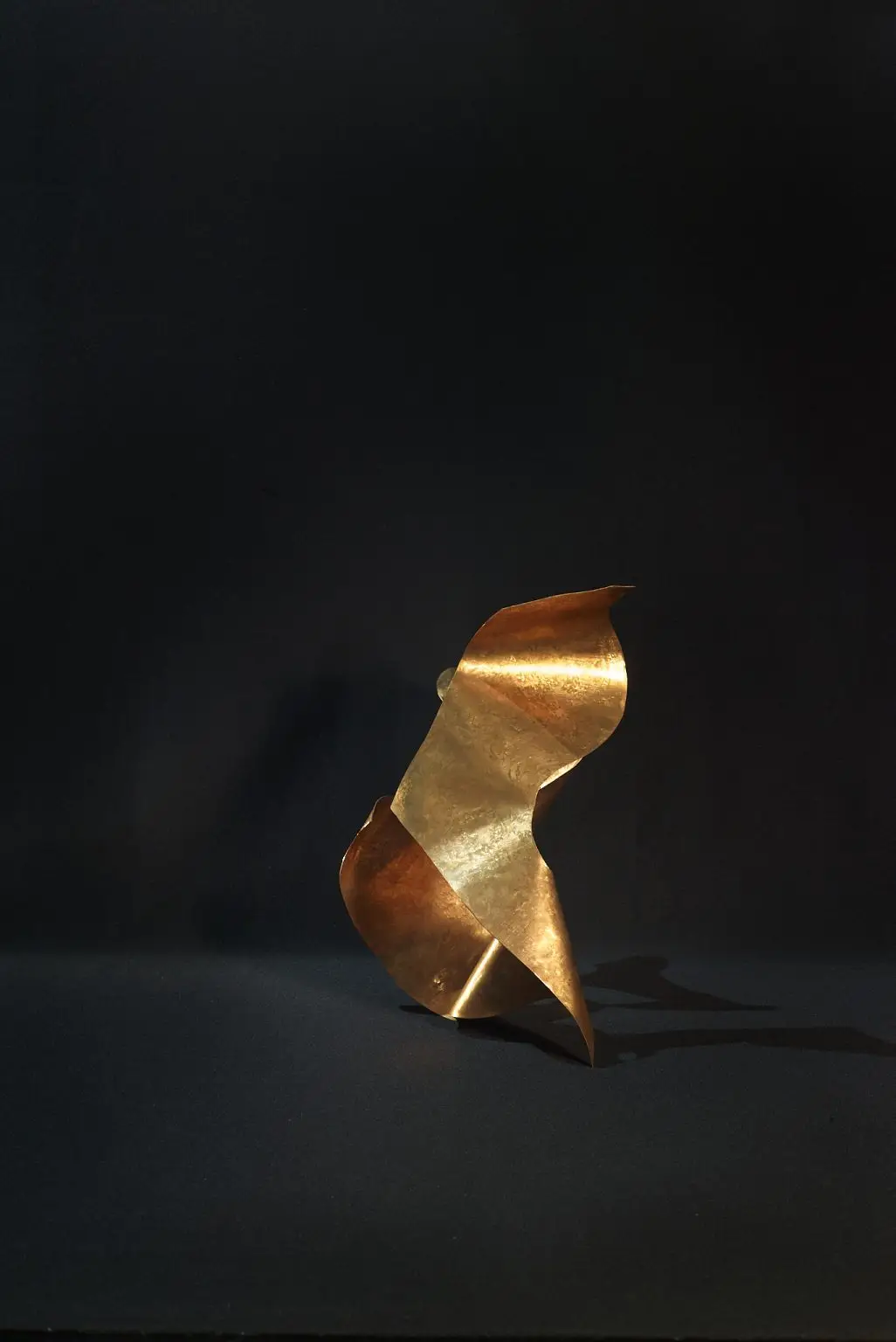 L1009594