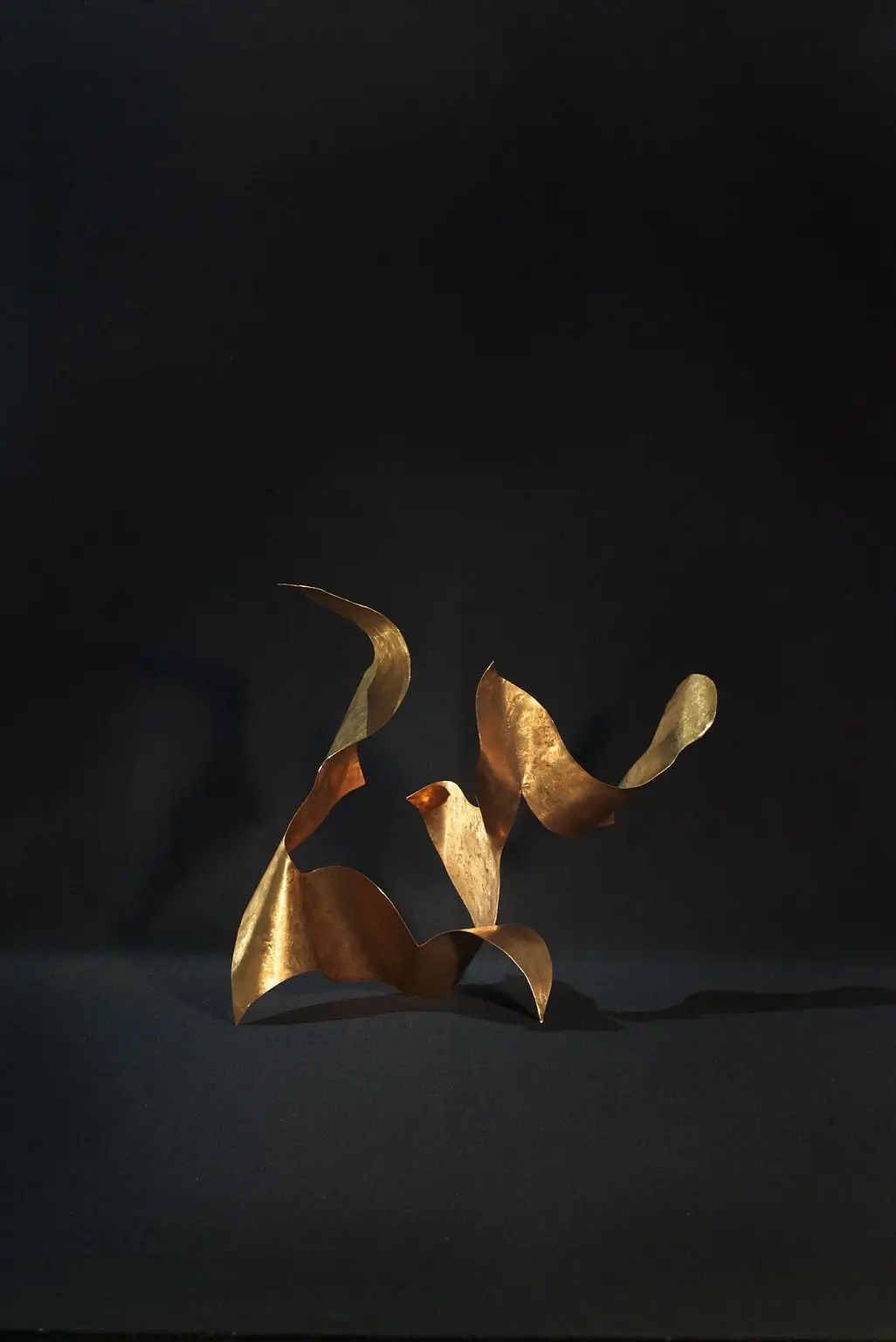 L1009595