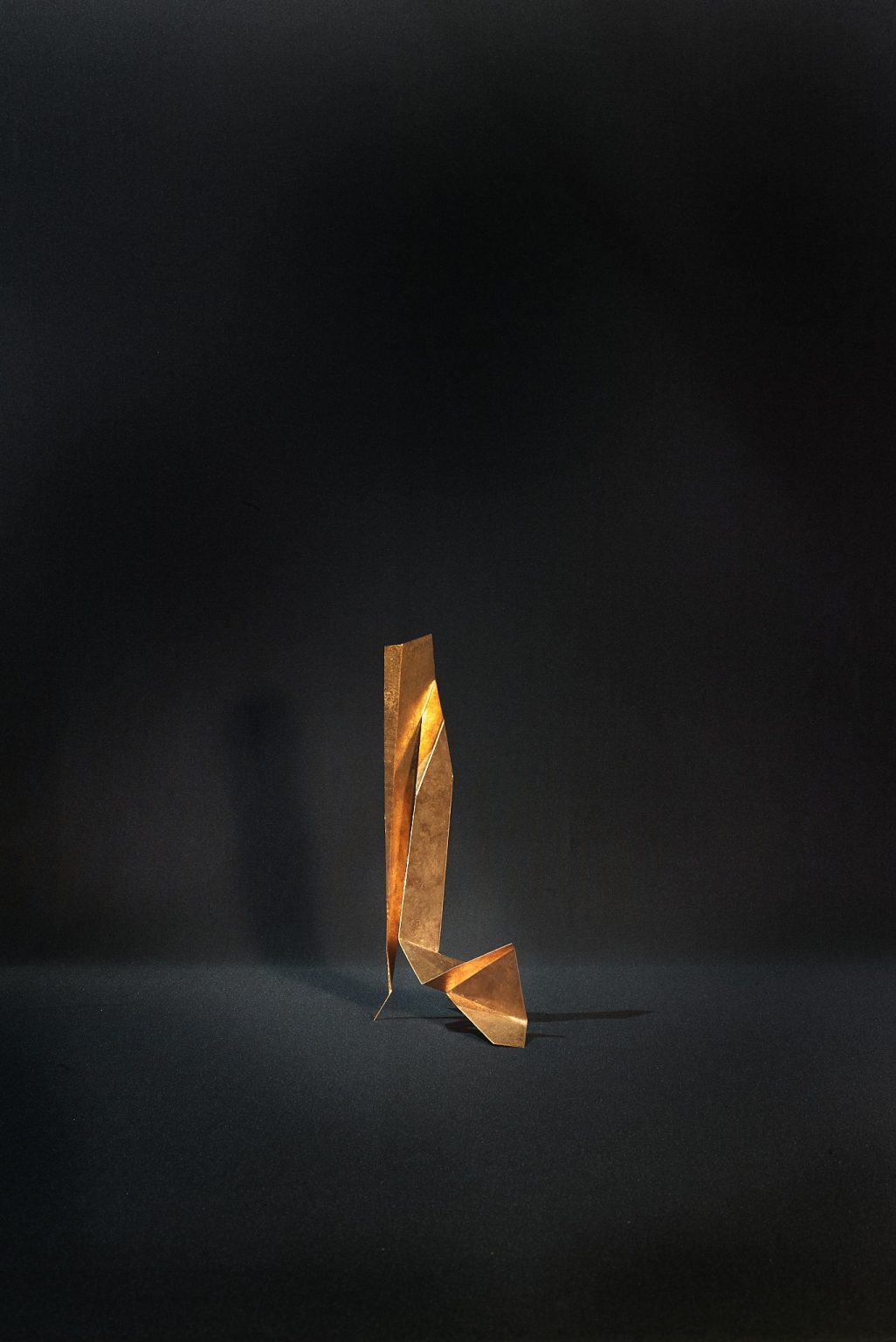 L1009626